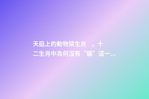 天庭上的動物猜生肖，十二生肖中為何沒有“貓”這一屬相